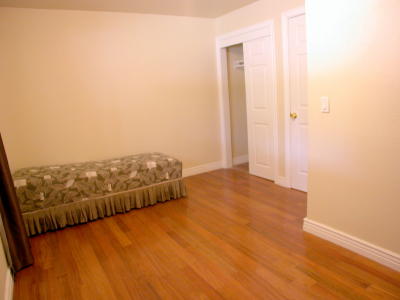 Lower level fireplace